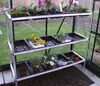 Halls 3 Tier Seed Tray Stand 15 trays